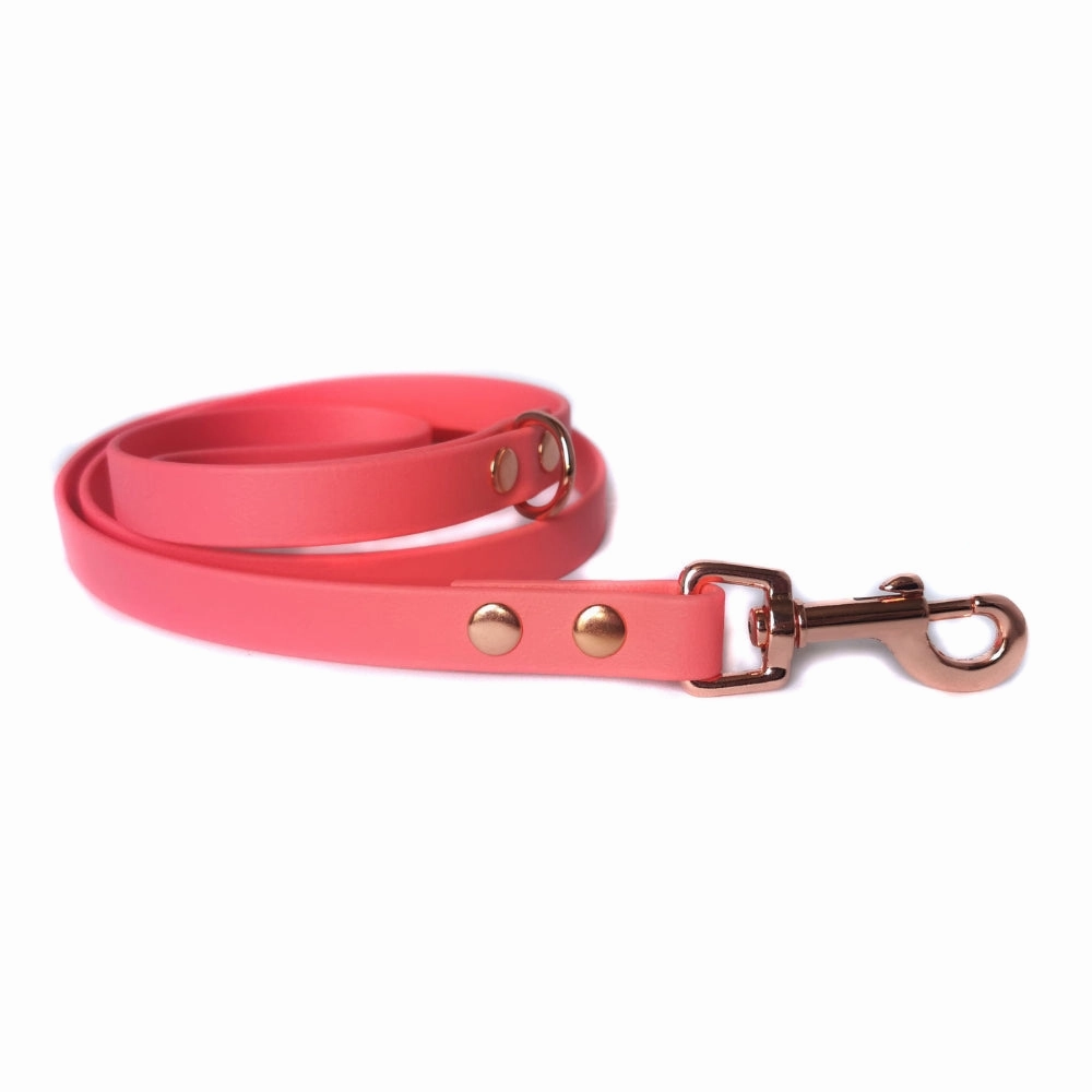 Coral Biothane Vegan Dog Collar
