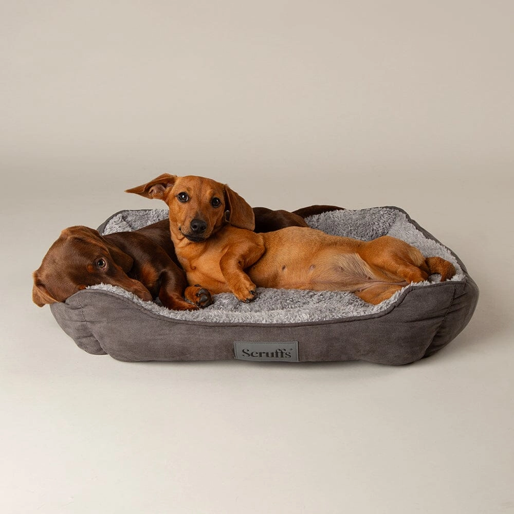 Cosy Soft-Walled Dog Bed - Grey