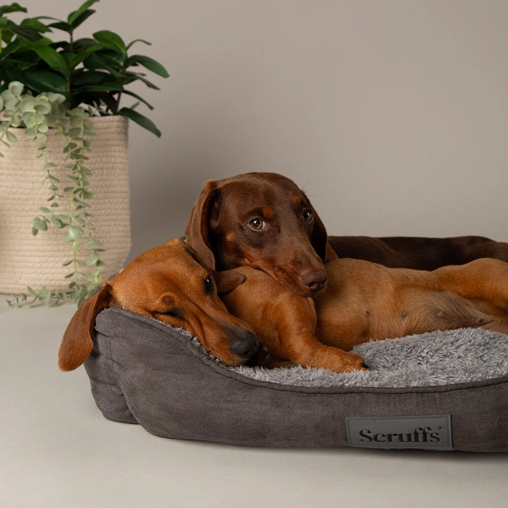 Cosy Soft-Walled Dog Bed - Grey