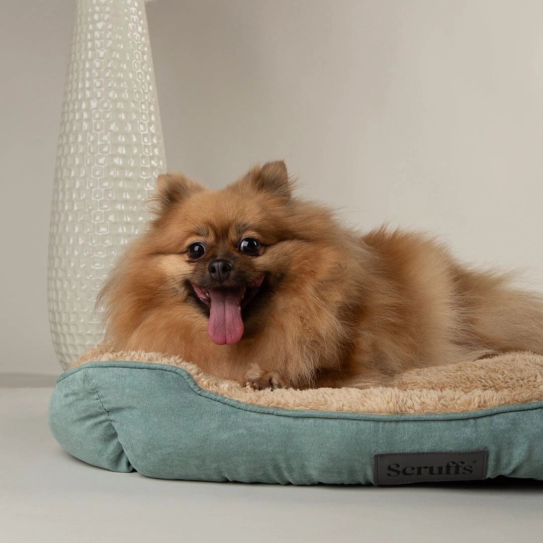 Cosy Soft-Walled Dog Bed - Sage Green