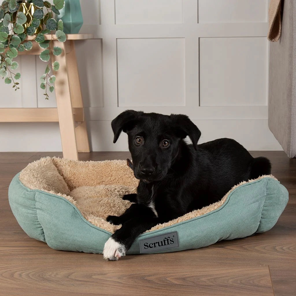 Cosy Soft-Walled Dog Bed - Sage Green