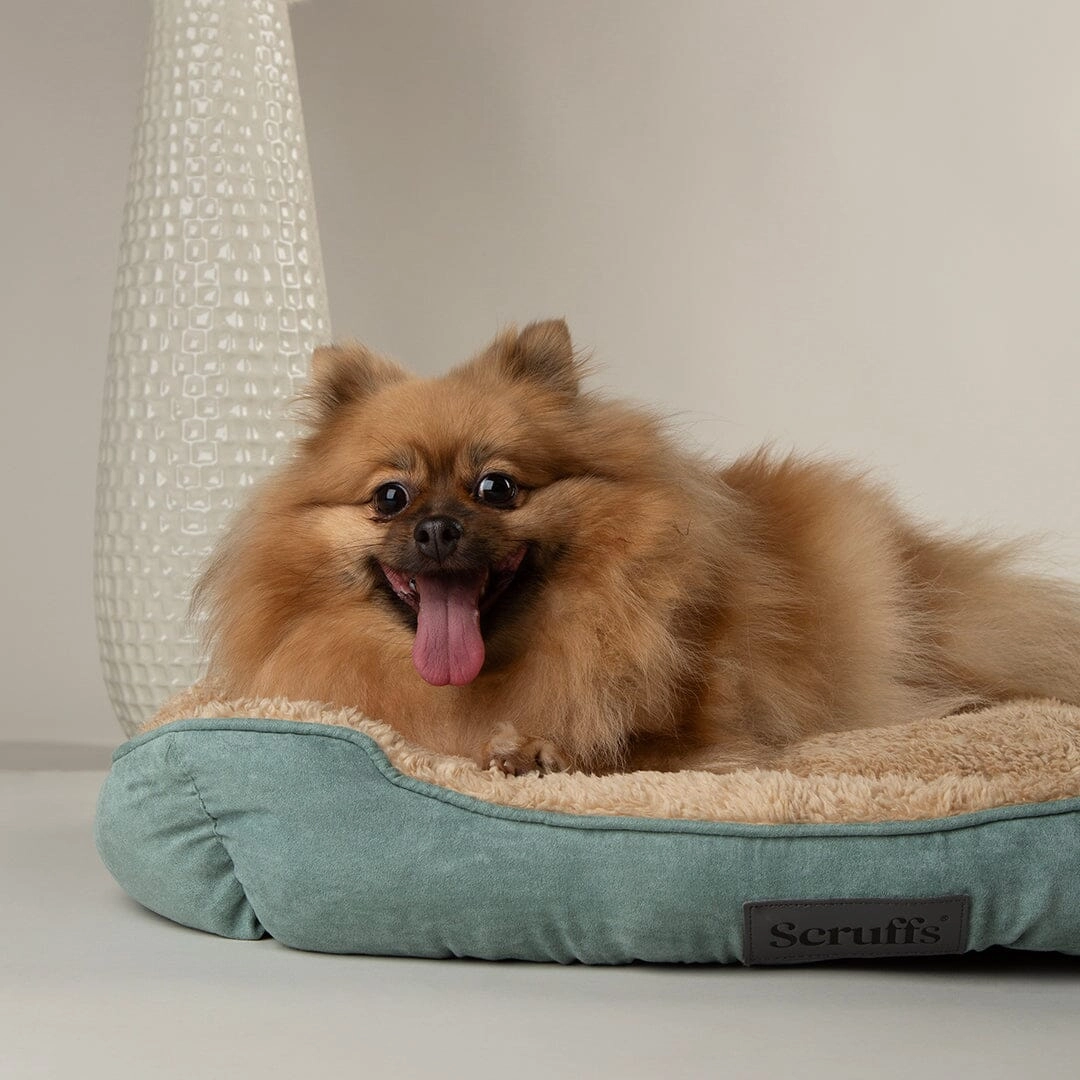 Cosy Soft-Walled Dog Bed - Sage Green