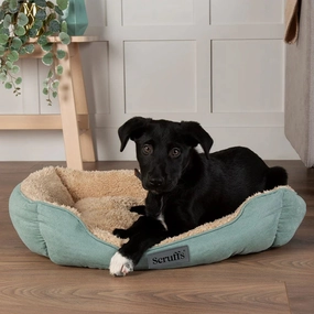 Cosy Soft-Walled Dog Bed - Sage Green