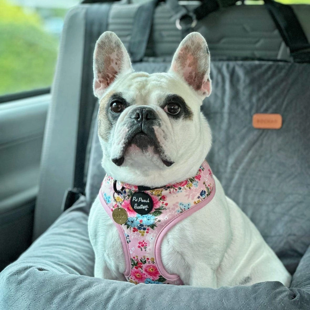Cottage Floral Dog Harness