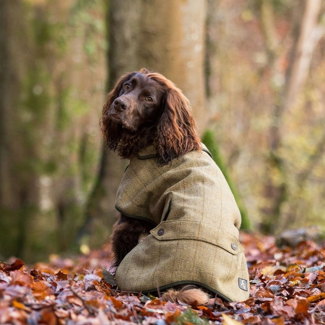 Country and Twee Green Tweed Water Resistant Dog Coat