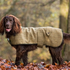 Country and Twee Green Tweed Water Resistant Dog Coat