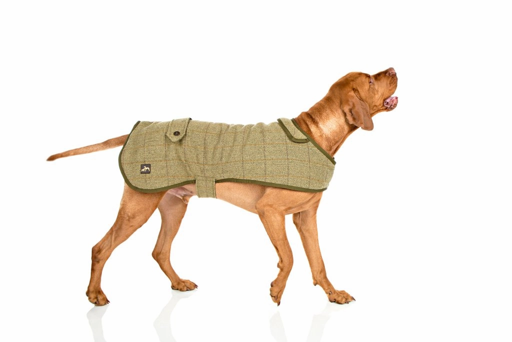 Country and Twee Green Tweed Water Resistant Dog Coat