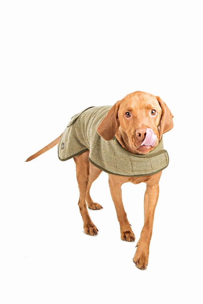 Country and Twee Green Tweed Water Resistant Dog Coat