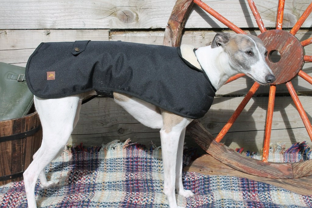 Country and Twee Waterproof Black Dog Coat