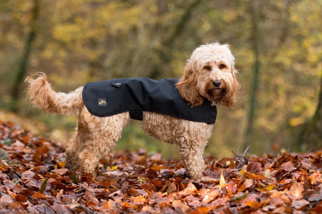 Country and Twee Waterproof Black Dog Coat