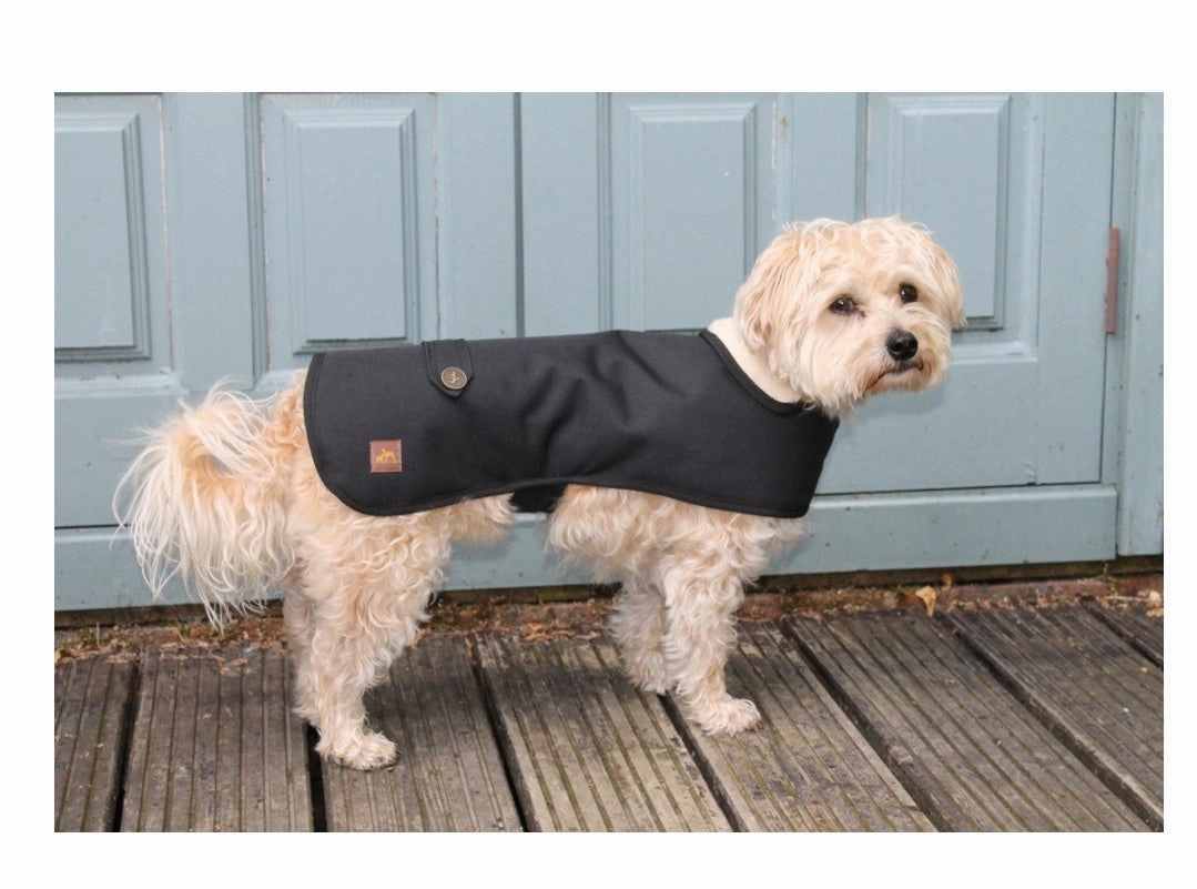 Country and Twee Waterproof Black Dog Coat