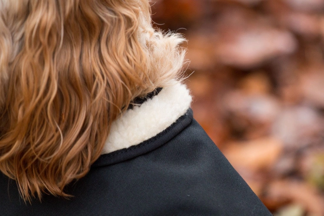 Country and Twee Waterproof Black Dog Coat