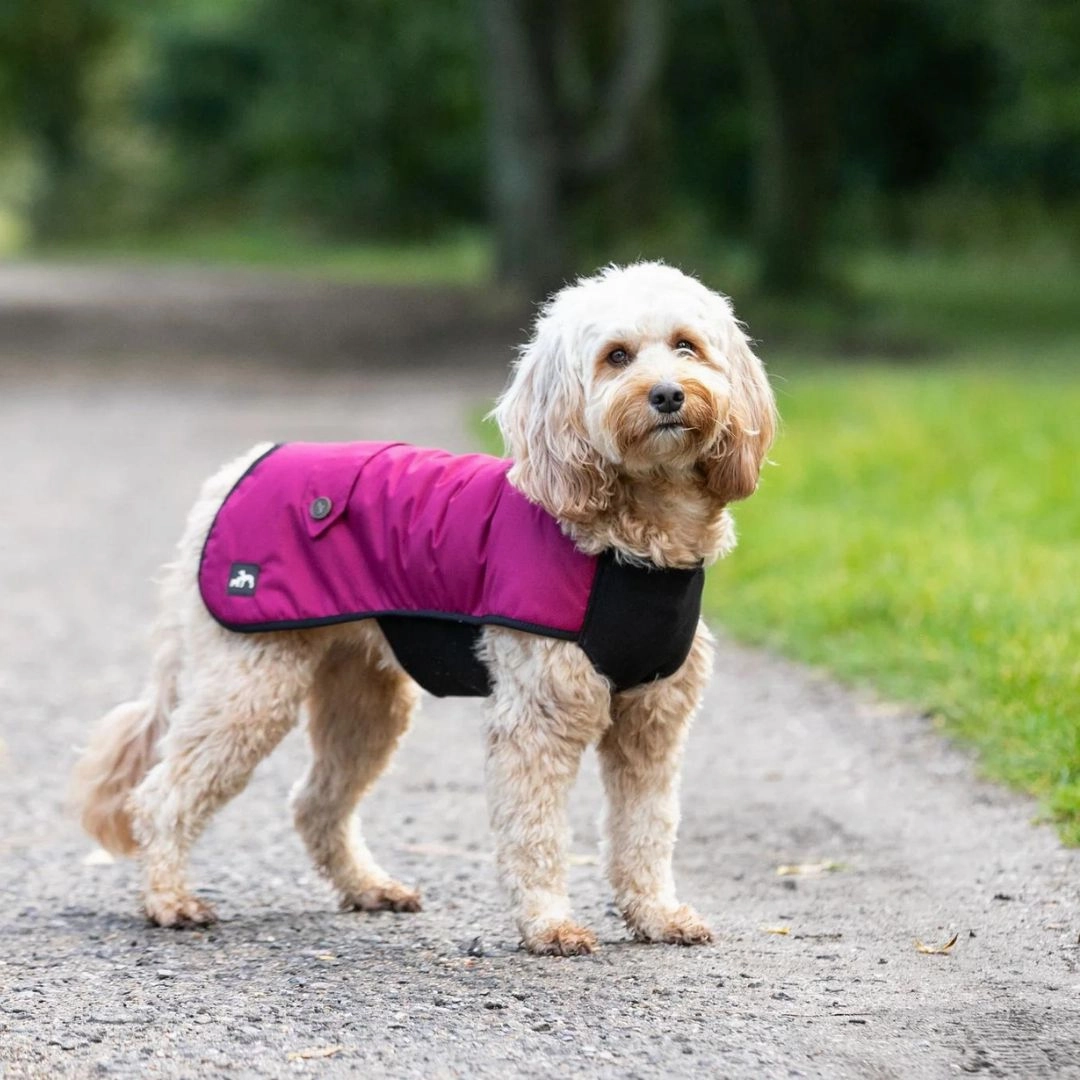 Country and Twee Waterproof Burgundy Underbelly Luxury Dog Coat