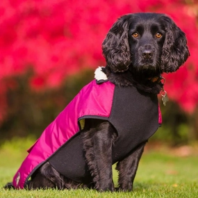 Country and Twee Waterproof Burgundy Underbelly Luxury Dog Coat