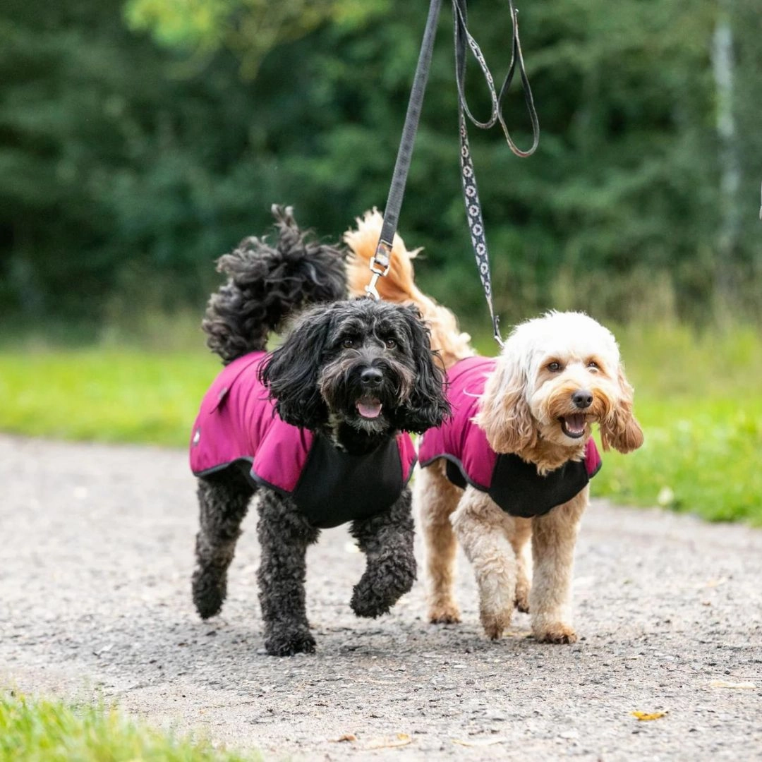 Country and Twee Waterproof Burgundy Underbelly Luxury Dog Coat