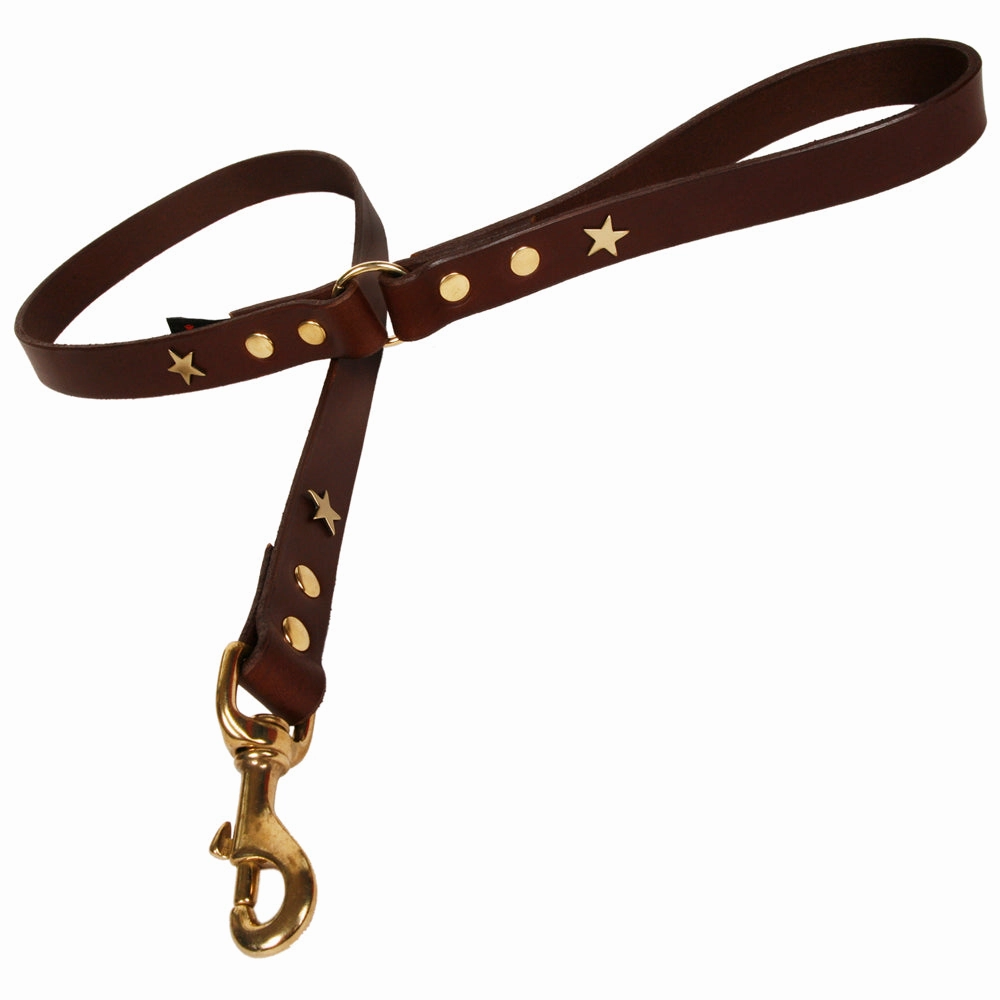 Creature Clothes Brown Leather Dog Leads