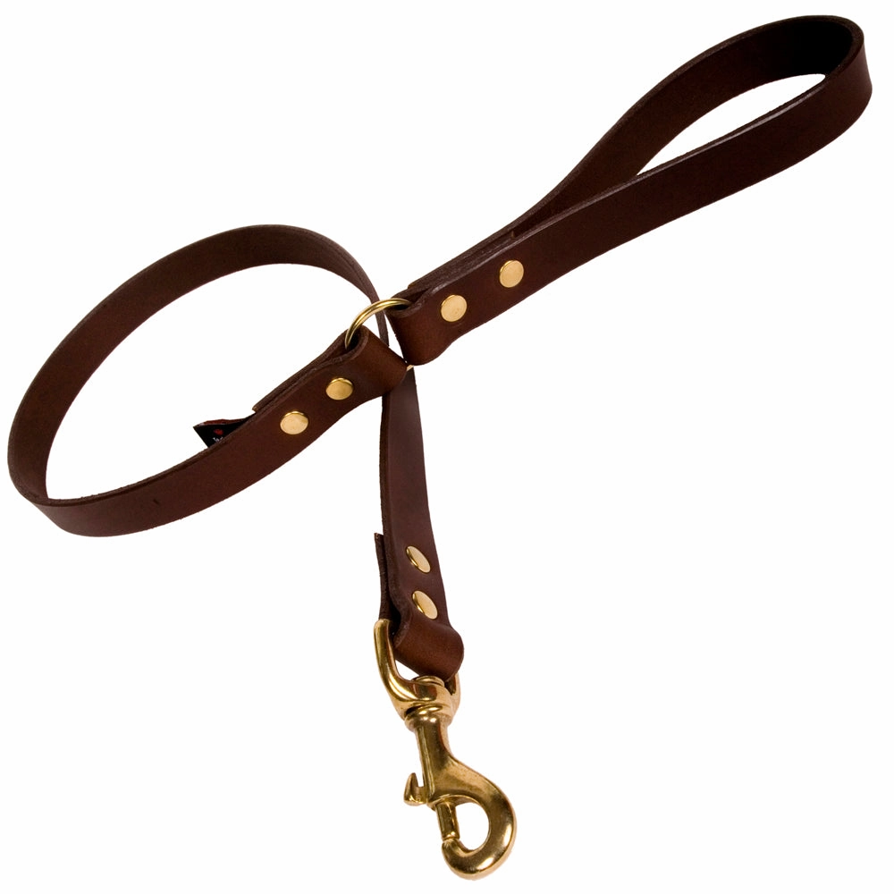 Creature Clothes Brown Leather Dog Leads
