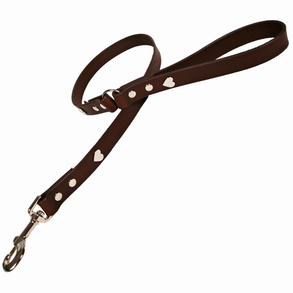 Creature Clothes Brown Leather Dog Leads