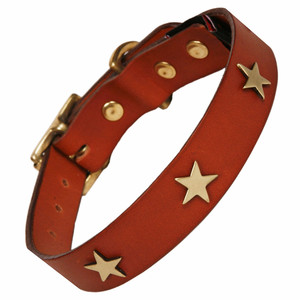 Creature Clothes Tan Leather Dog Collar With Brass Studs