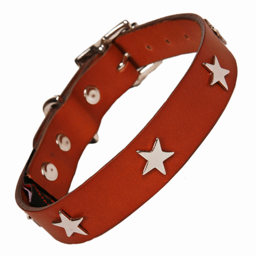 Creature Clothes Tan Leather Dog Collar With Silver Studs