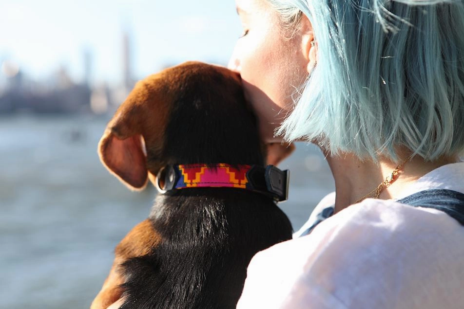 Dakar Dog Collar by Hiro & Wolf