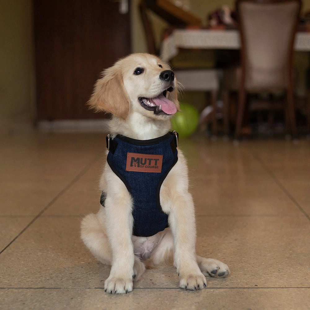 Dark Denim Harness