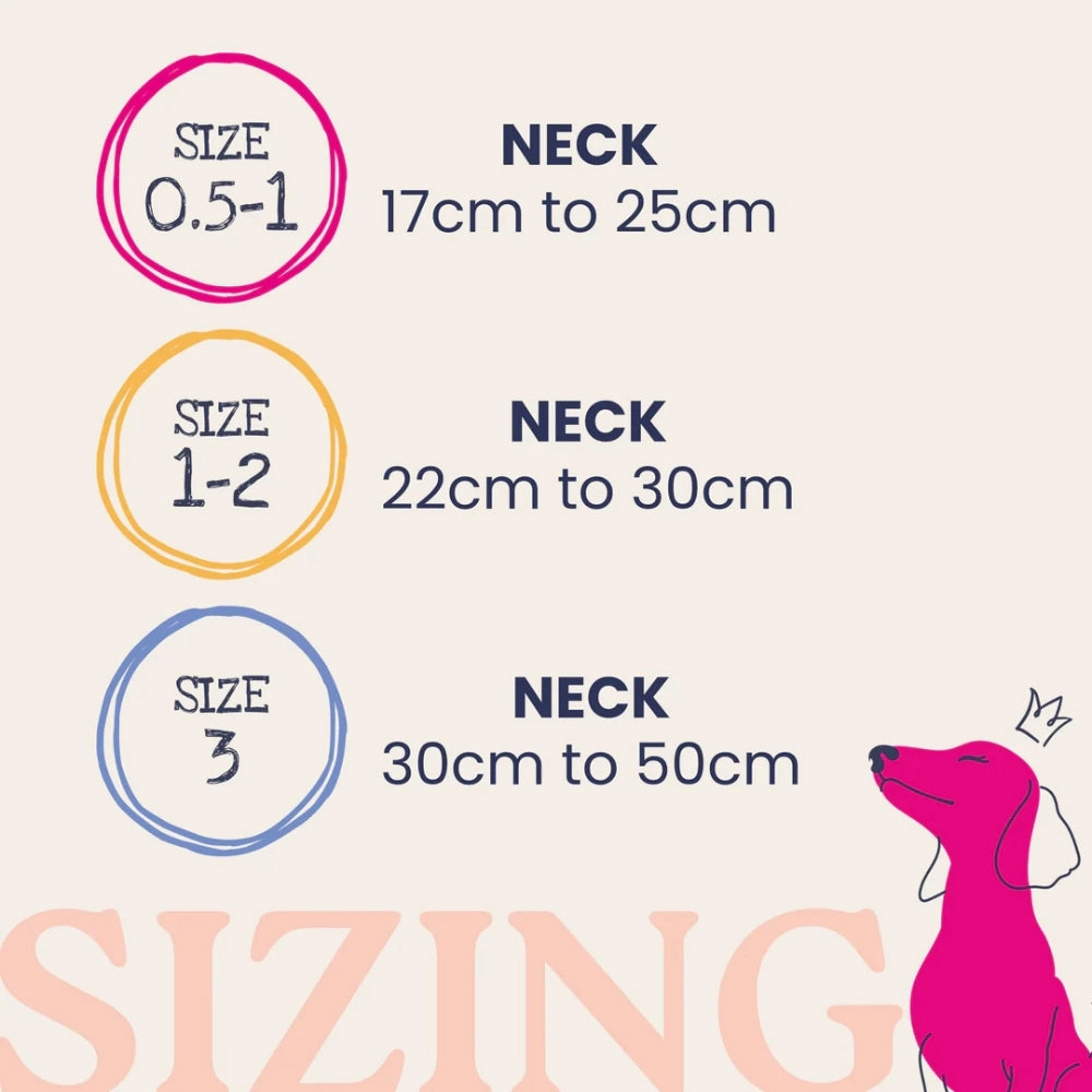 Dinky Dog Collar - Chalky Blue