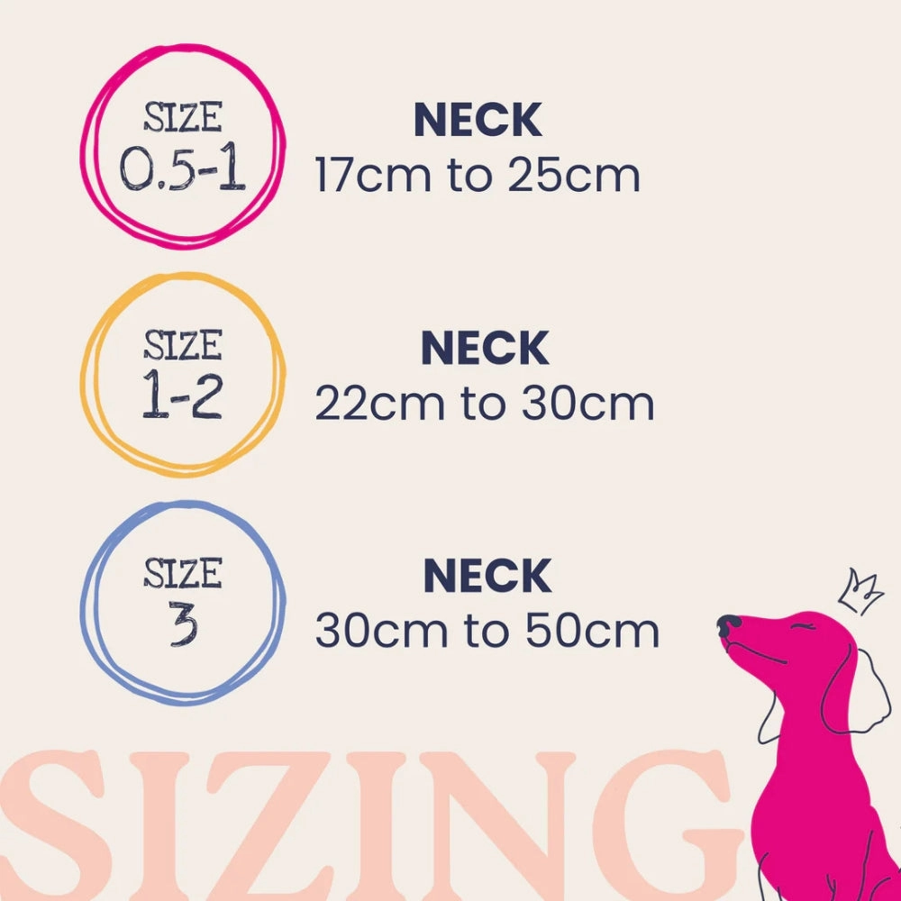Dinky Dog Collar - Mint Quilt
