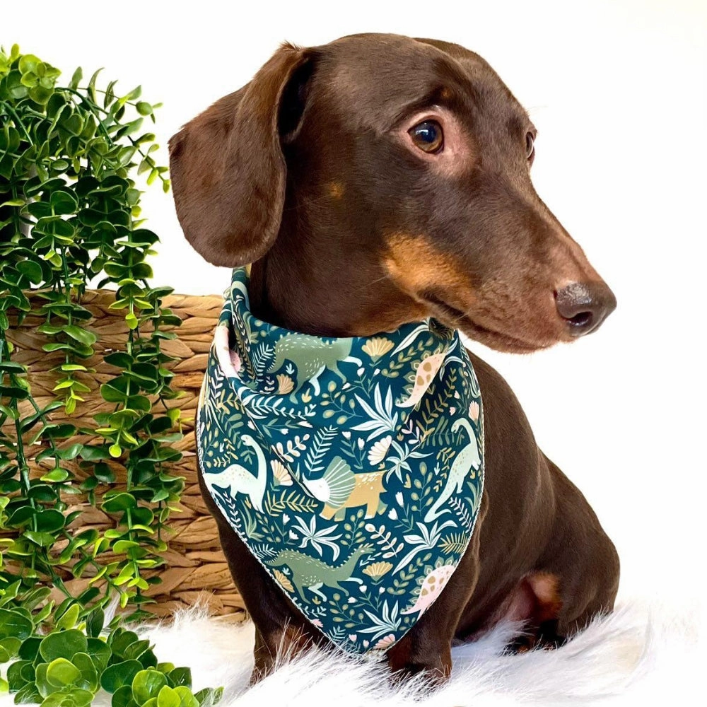Dino Rawr Dog Bandana