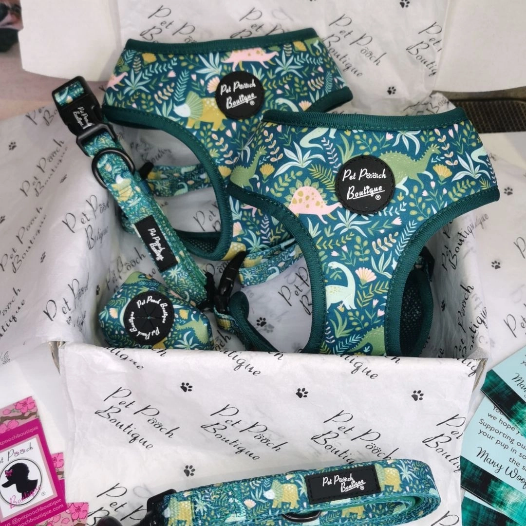 Dino Rawr Dog Harness