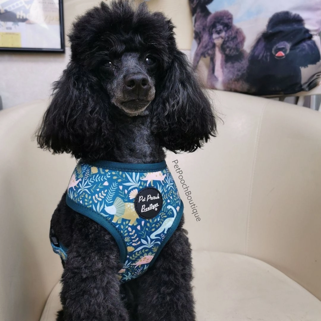 Dino Rawr Dog Harness