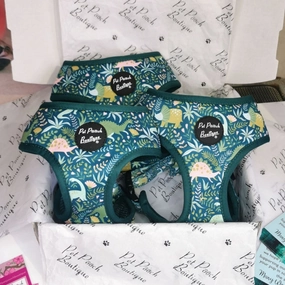 Dino Rawr Dog Harness