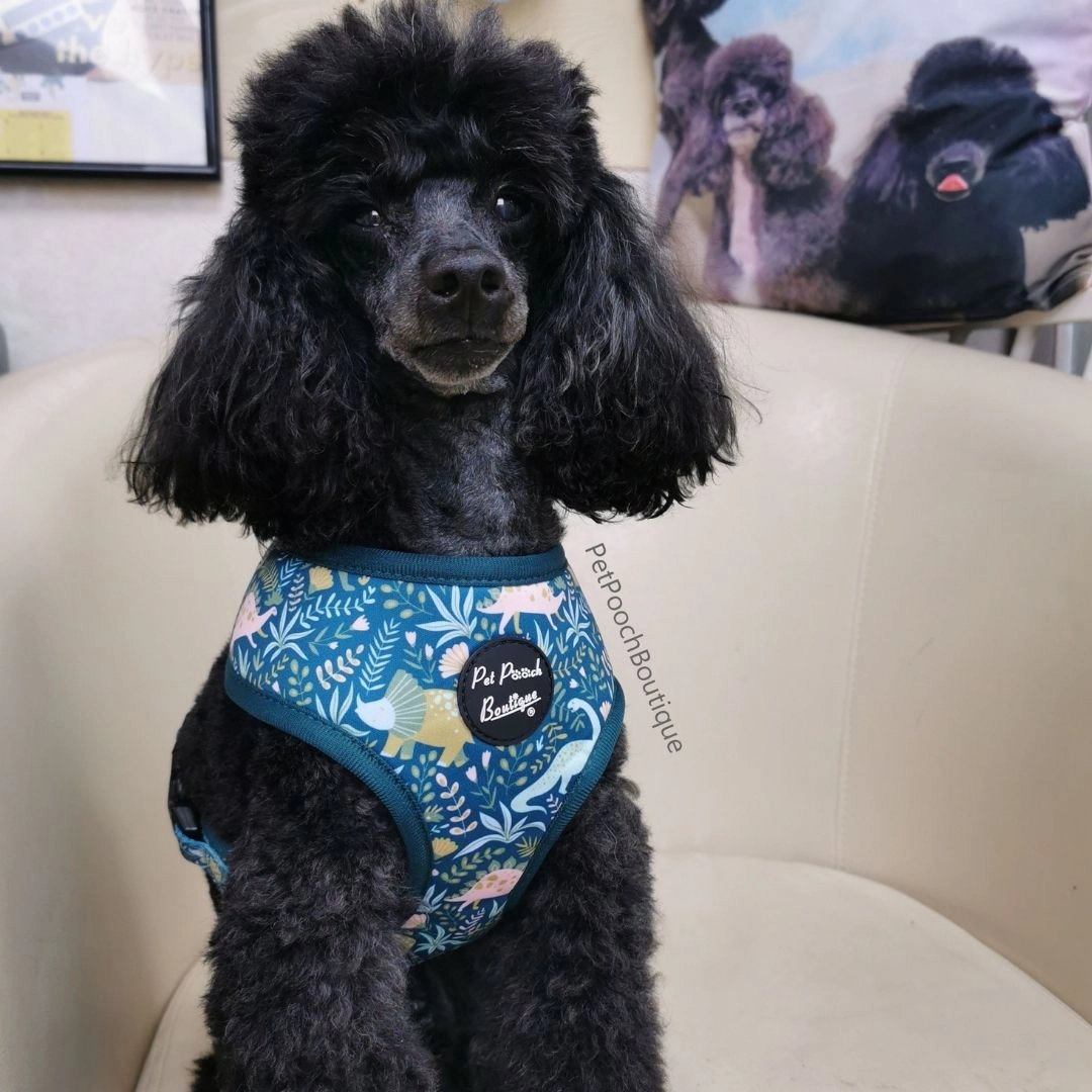 Dino Rawr Dog Harness