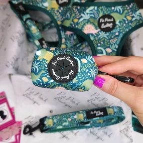 Dino Rawr Poo Bag Holder