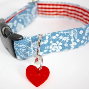 Ditsy Daisy Paisley Designer Dog Collar