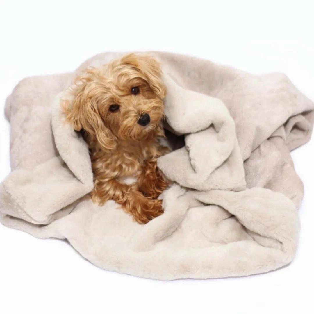 Dog Snuggle Sack in Natural
