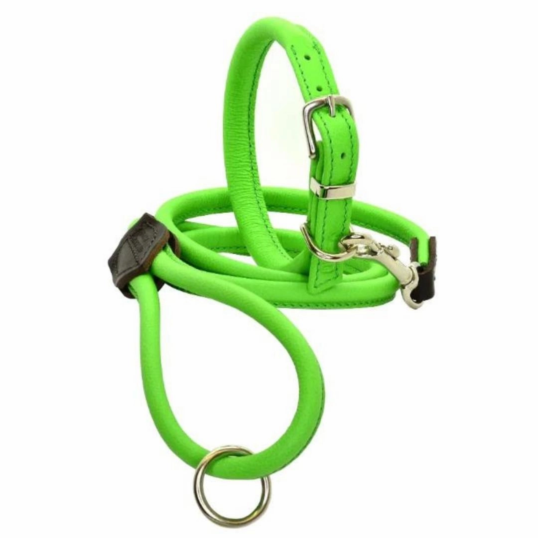 Dogs & Horses Rolled Leather Dog Collar Bright Green