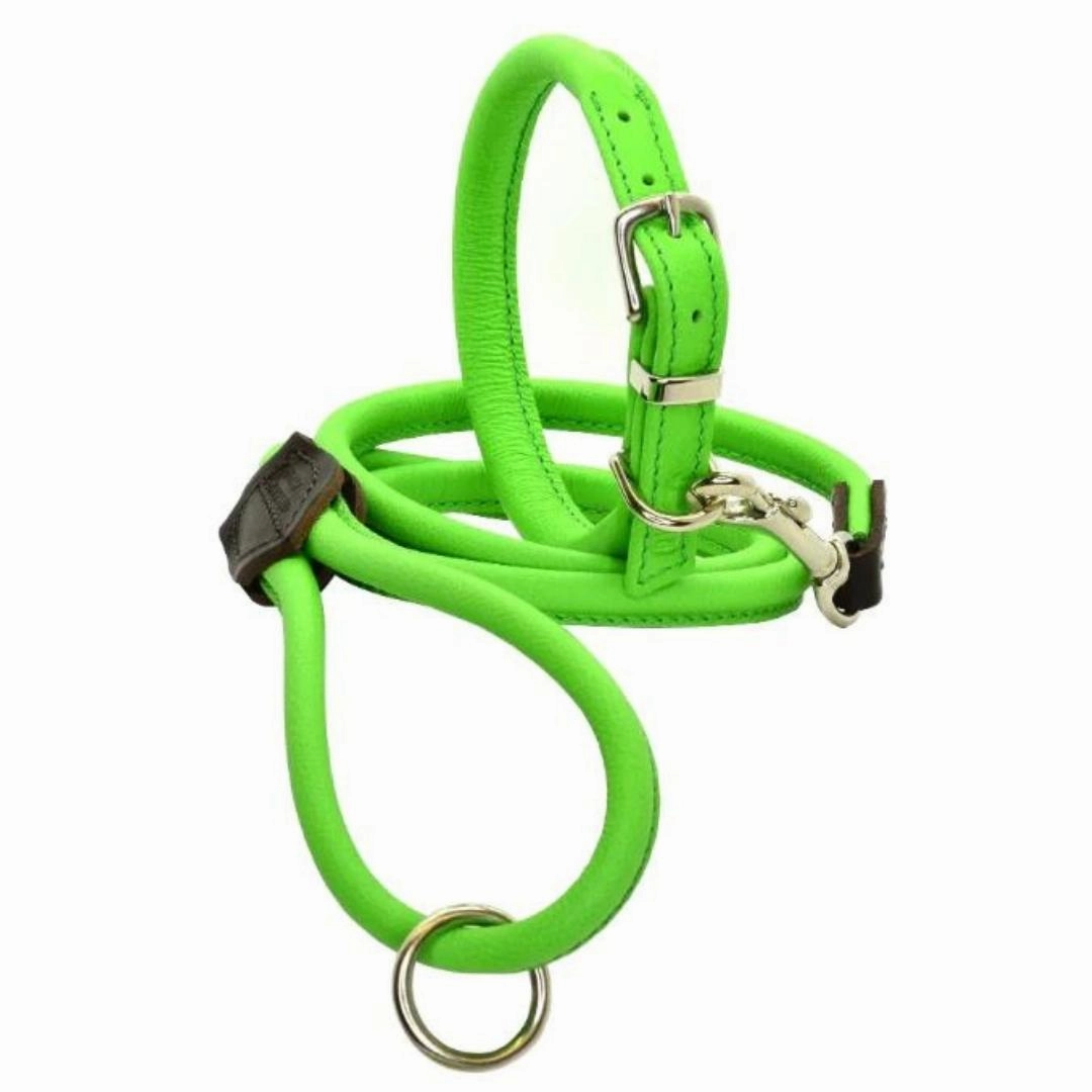Dogs & Horses Rolled Leather Dog Collar Bright Green