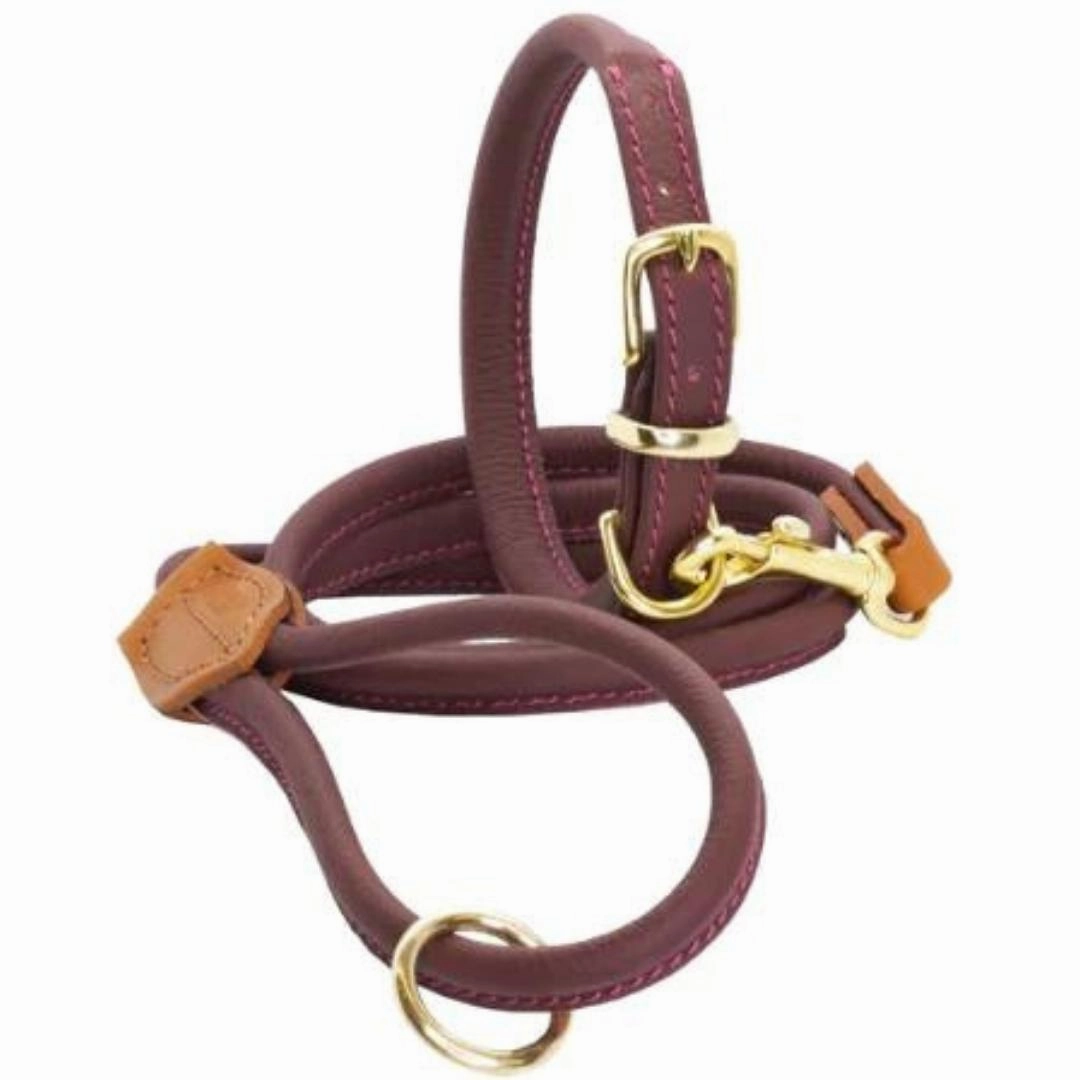 Dogs & Horses Rolled Leather Dog Collar Merlot