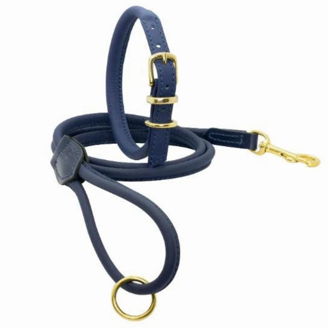 Dogs & Horses Rolled Leather Dog Collar Navy