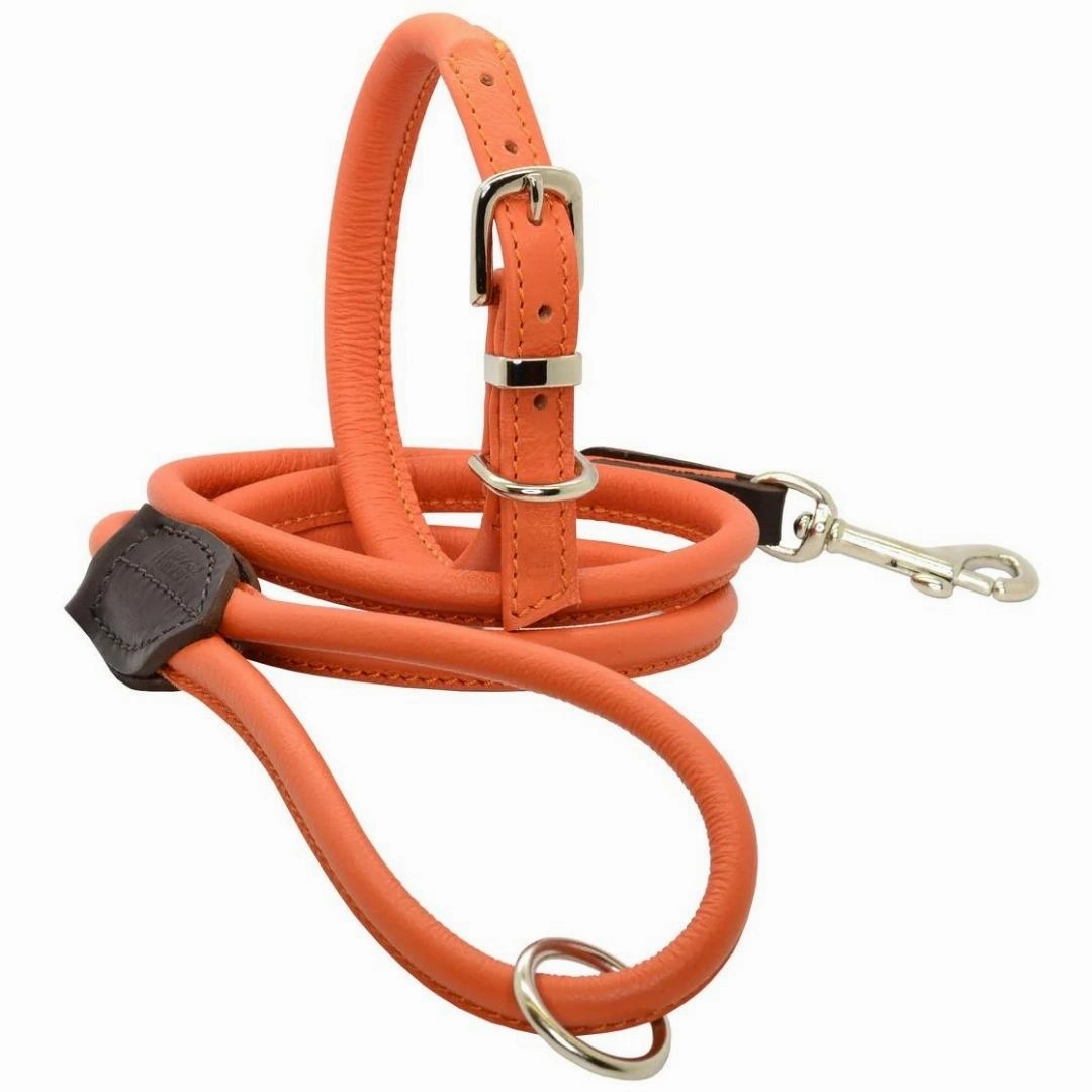 Dogs & Horses Rolled Leather Dog Collar Orange