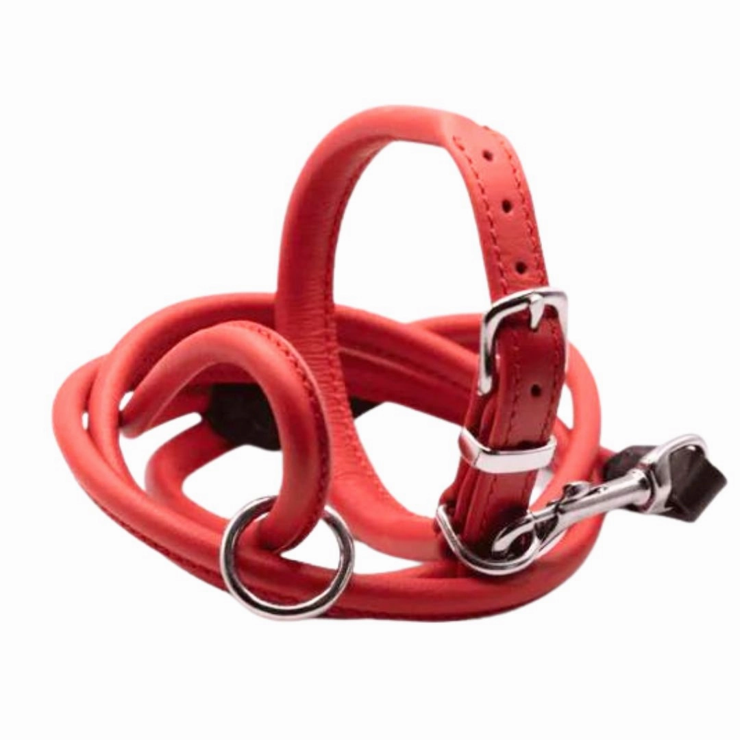 Dogs & Horses Rolled Leather Dog Collar Red