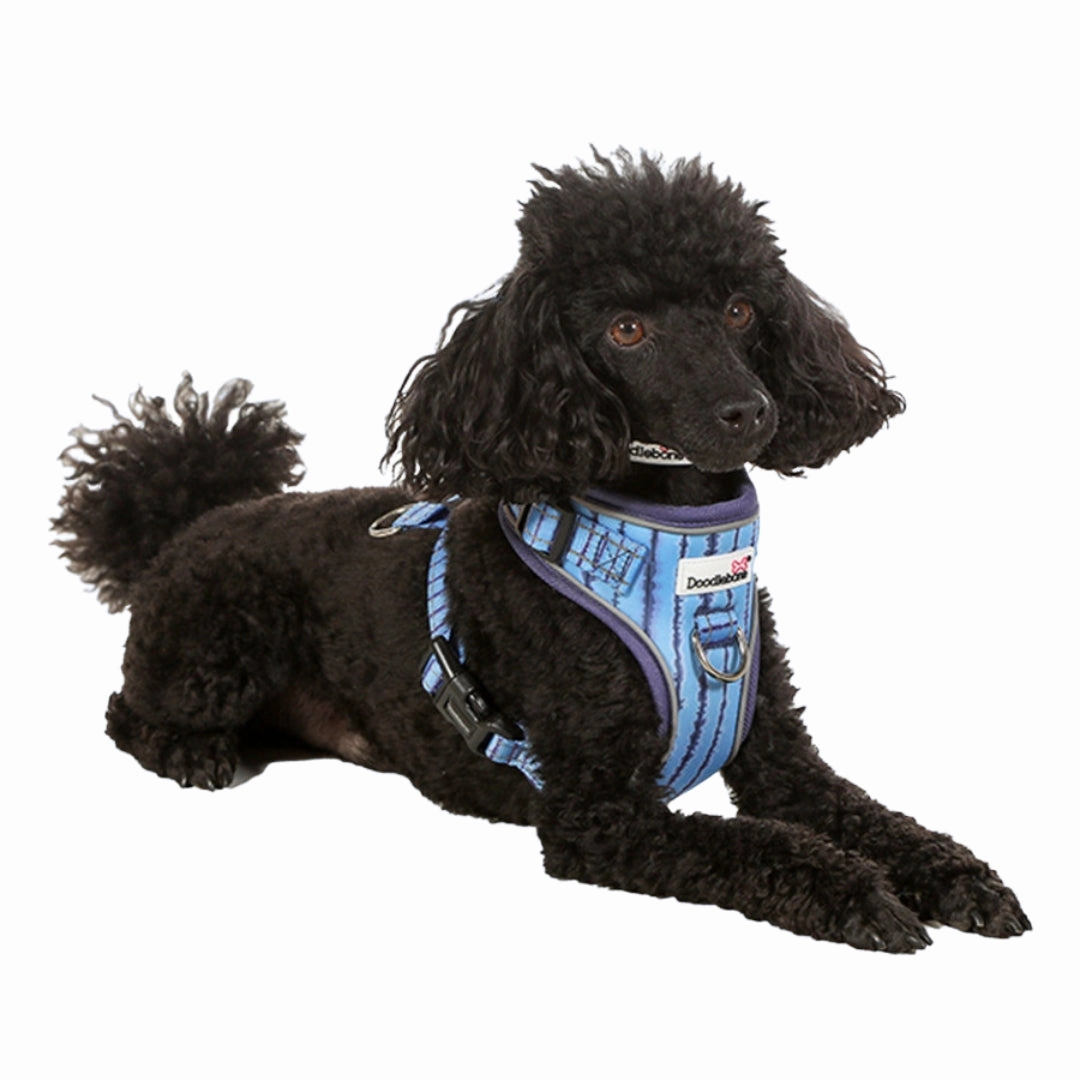 Doodlebone Adjustable Airmesh Dog Harness - Aurora