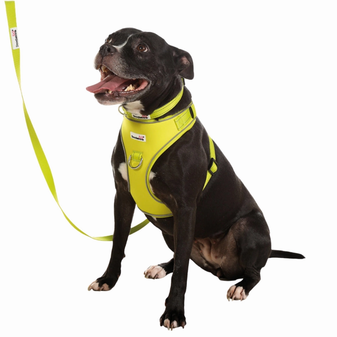 Doodlebone Adjustable Airmesh Dog Harness - Citrus