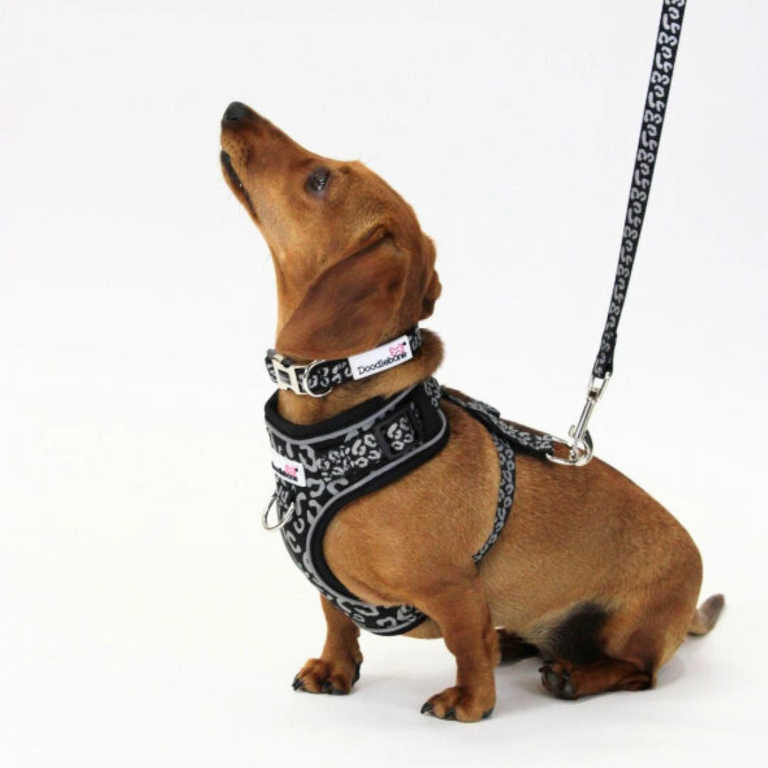 Doodlebone Adjustable Airmesh Dog Harness - Coal Leopard Reflective