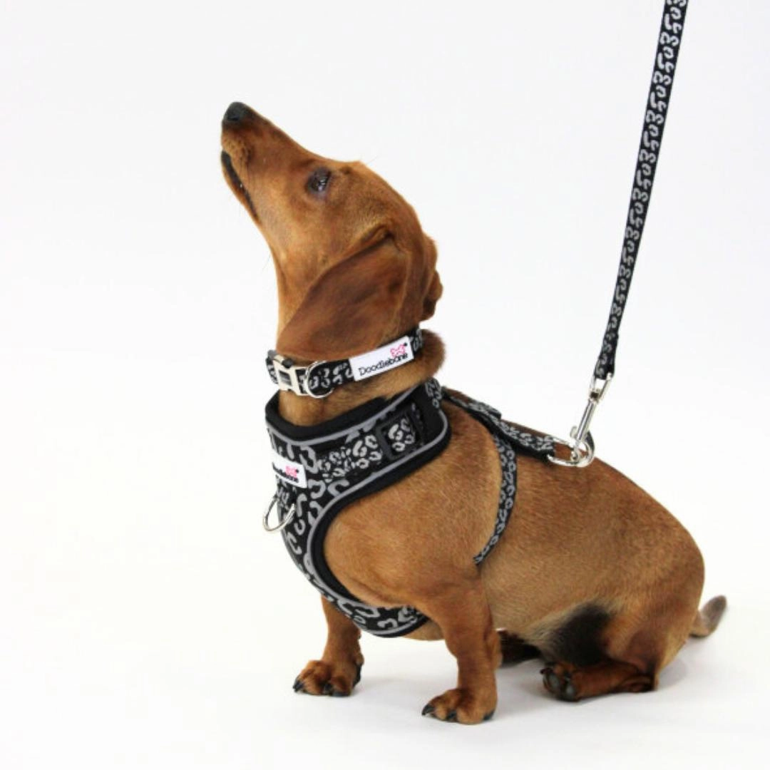 Doodlebone Adjustable Airmesh Dog Harness - Coal Leopard Reflective