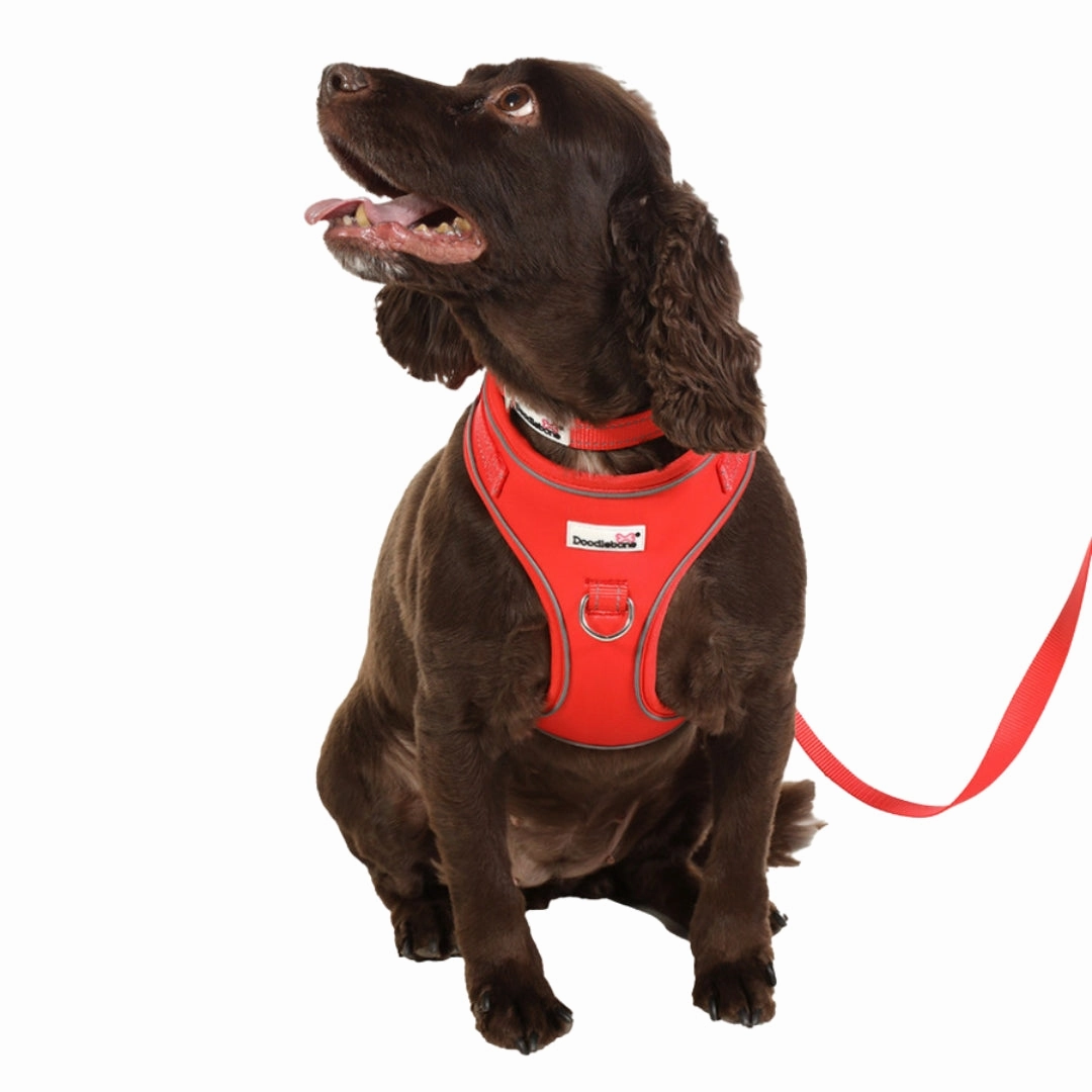 Doodlebone Adjustable Airmesh Dog Harness - Coral