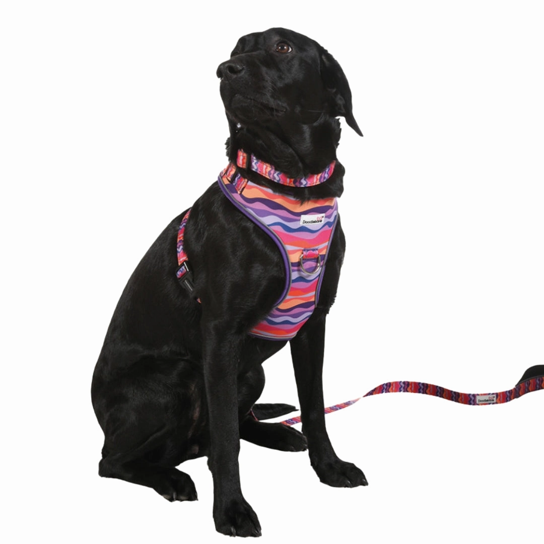 Doodlebone Adjustable Airmesh Dog Harness - Dunes