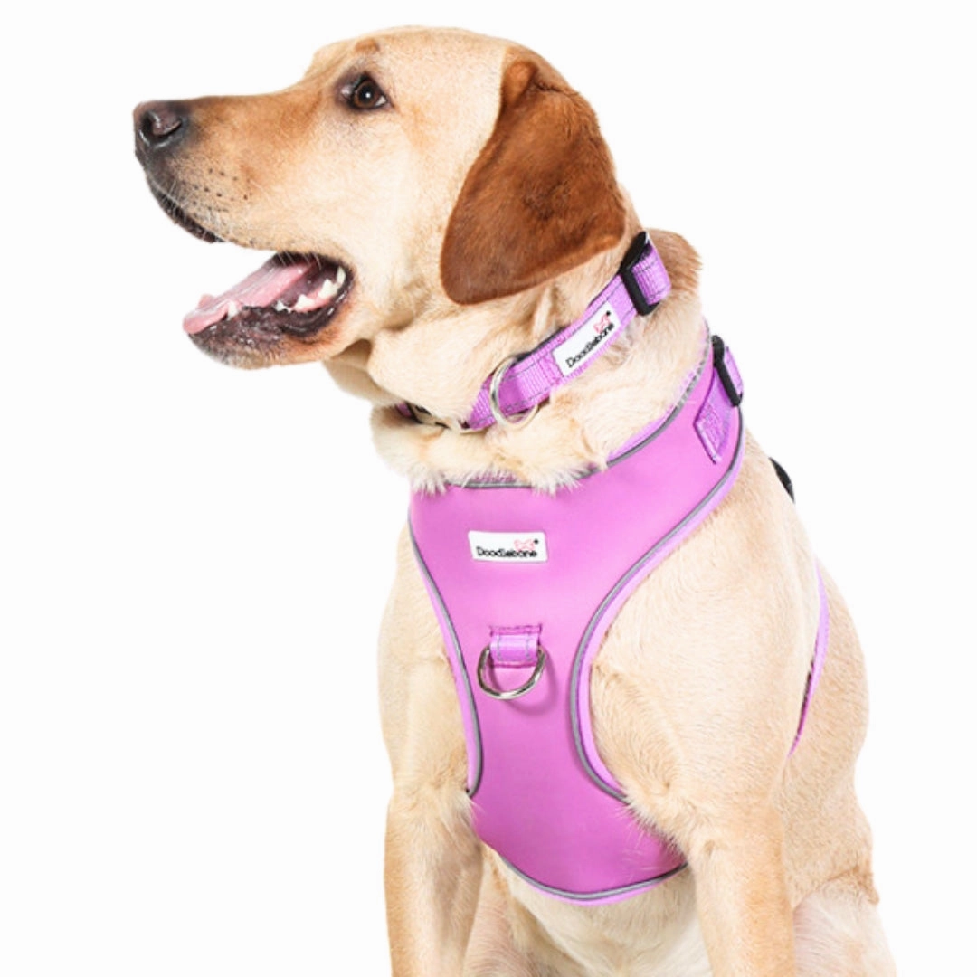 Doodlebone Adjustable Airmesh Dog Harness - Orchid