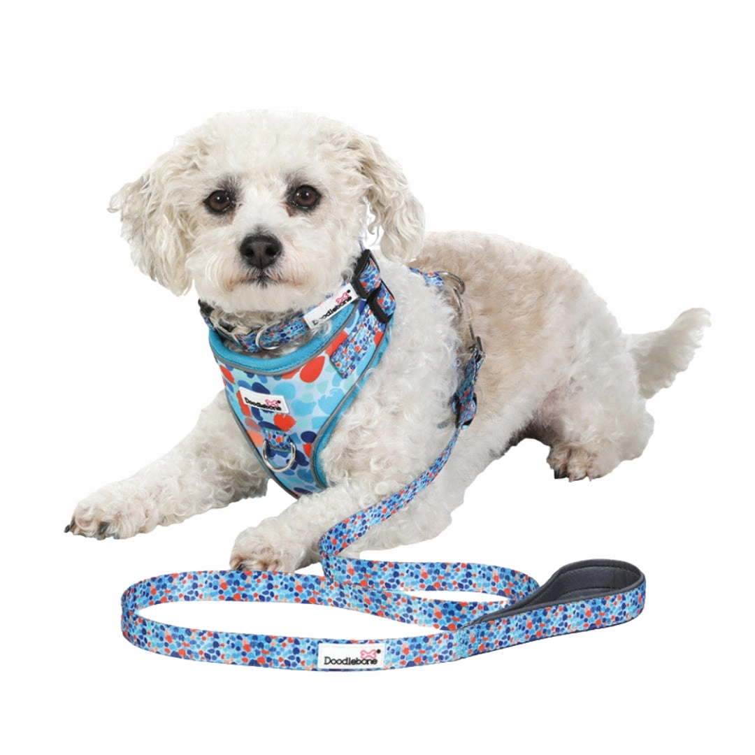 Doodlebone Adjustable Airmesh Dog Harness - Reef